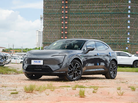 2025�� Max �����