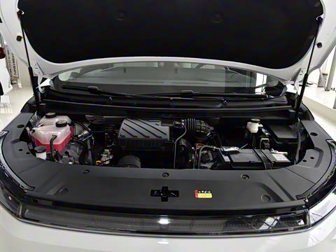 2024�� �Ŀ� ���� ��������ɭ�ְ� ����