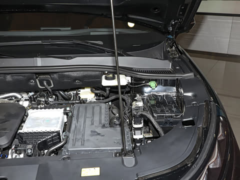 2025�� 210km ������