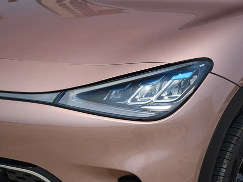 2026�� �鶯������