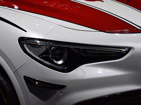 2019�� 2.9T 510HP F1������