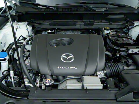 2025�� 2.0L �Զ�����������