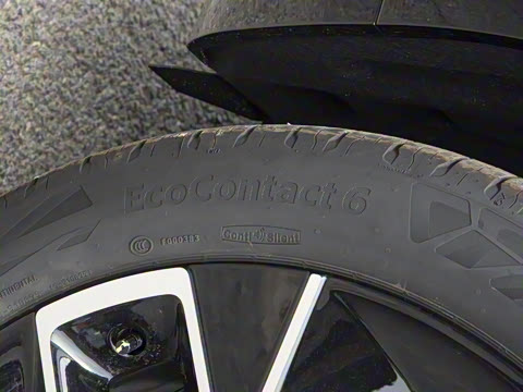 2025�� Max ���������