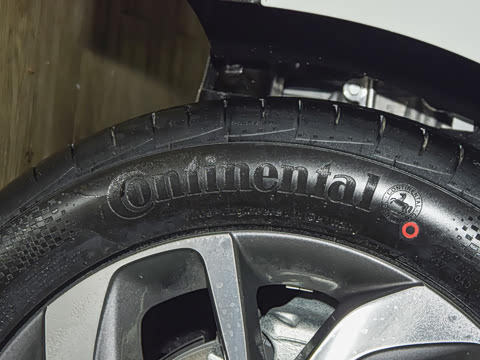 2022�� ���춯 �����ǻ���