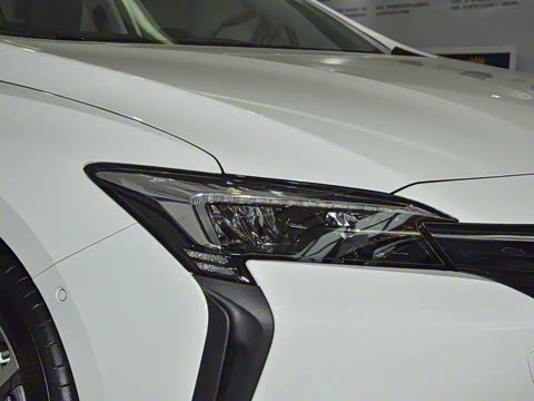 2022�� ���춯 �����ǻ���