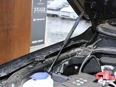 2025�� 3.5T �ܲð�