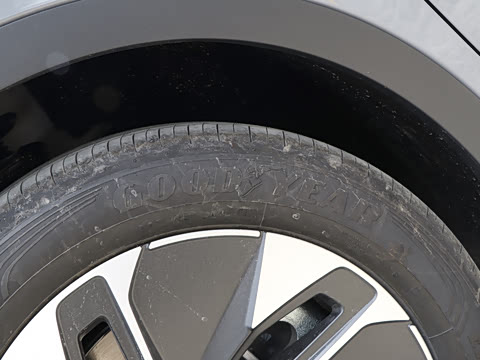 2022�� ������PURE+��