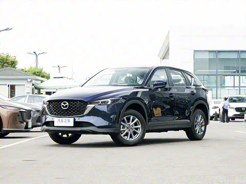 2025�� 2.0L �Զ�����������