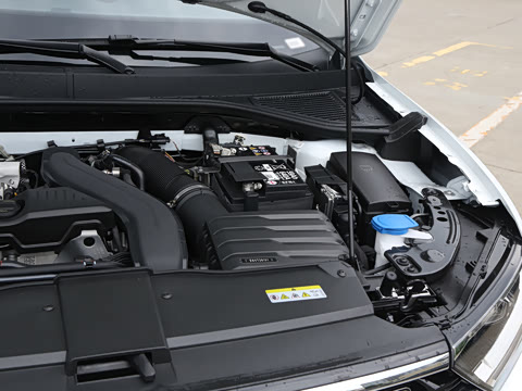 2025�� �Ŀ�� 300TSI DSG���������