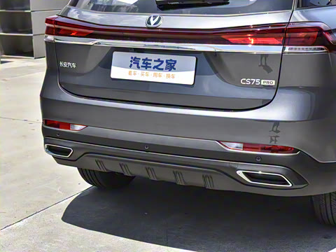 2025�� PRO 1.5T DCT ������ 5��