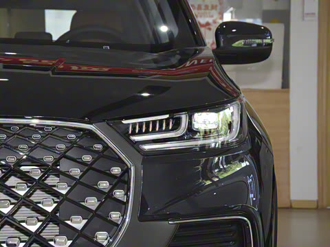 2022�� 290TGDI DCT������