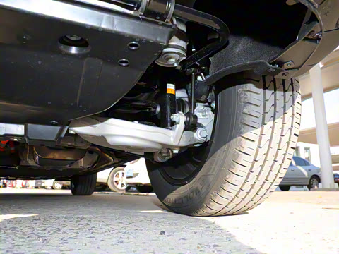 2022�� ����������