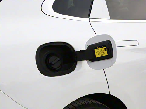 2022�� �������������