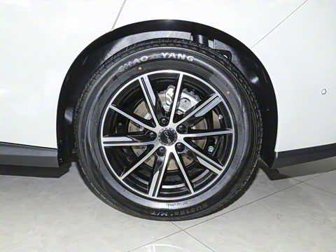 2025�� DM-i 80KM�����