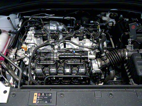 2026�� 180DVVT ȫ�����Ȱ�