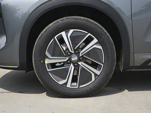 2025�� 55km ������