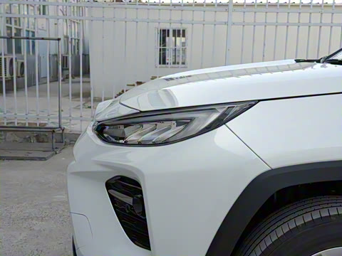 2022�� ˫�� 2.5L E-CVT��������PLUS��