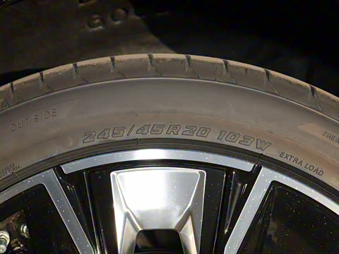 2022�� �Ŀ� ������