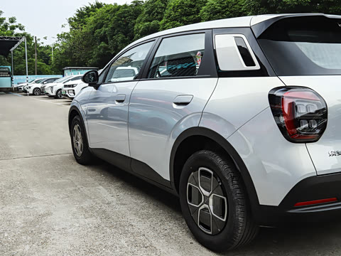 2025�� 330��ҫ��