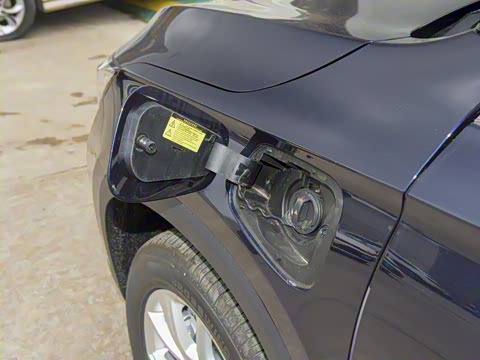 2021�� 520 ������