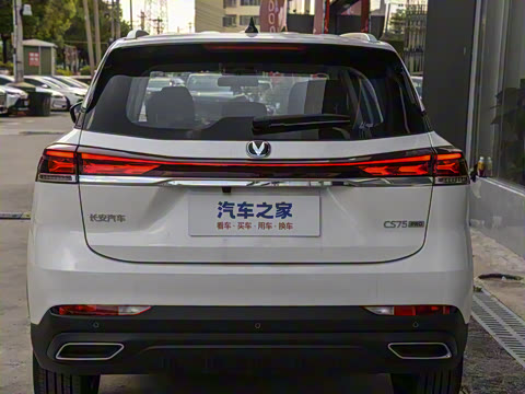 2025�� PRO 1.5T DCT ������ 7��