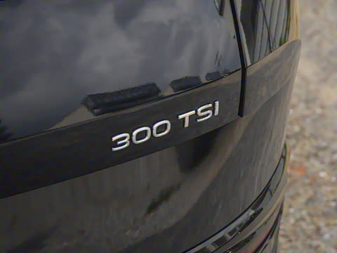 2024��  300TSI DSG���������۰�
