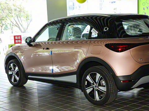 2026�� �鶯��������