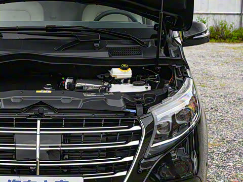 2025�� V 300 L ����������