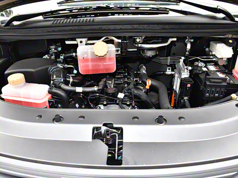 2025�� 110km���� ������7��