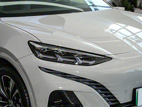 2023�� ����������