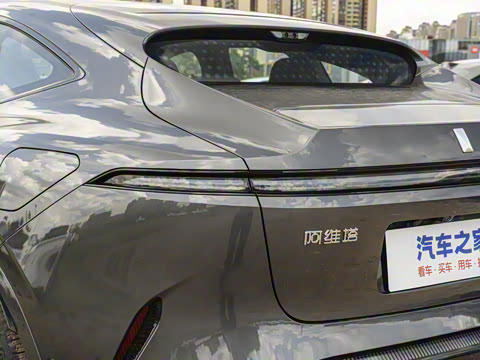 2025�� Max �����