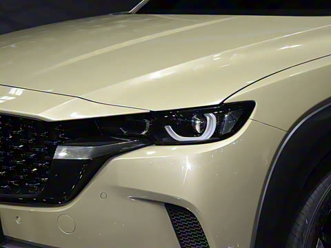 2023�� 2.5L ���а�