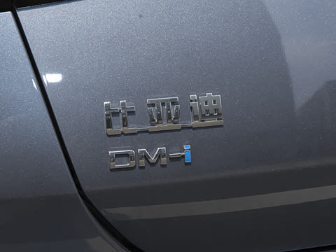 2025�� �Ǽݰ� DM-i 1.5L 125km ��Ӣ��
