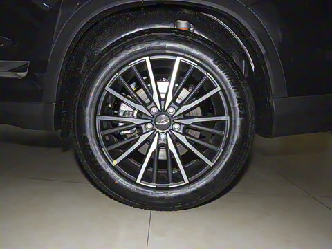 2022�� 290TGDI DCT������