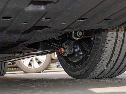 2025�� 550������