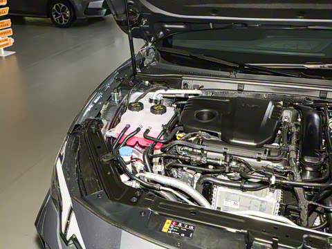 2025�� 1.5T 300 DCT������