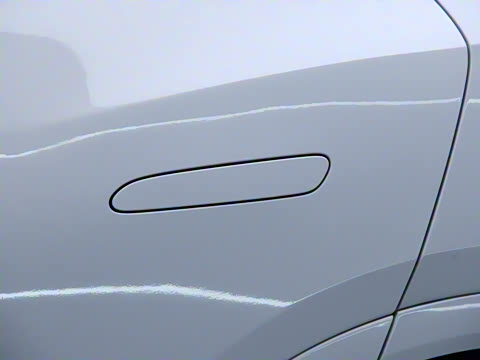 2023�� ����������Max��