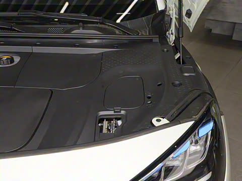 2026�� �鶯������