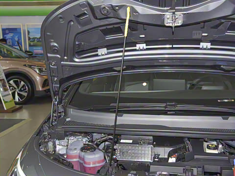 2022�� Pure ������