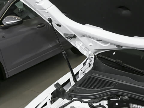 2025�� Pro 300TSI ��ҫ��