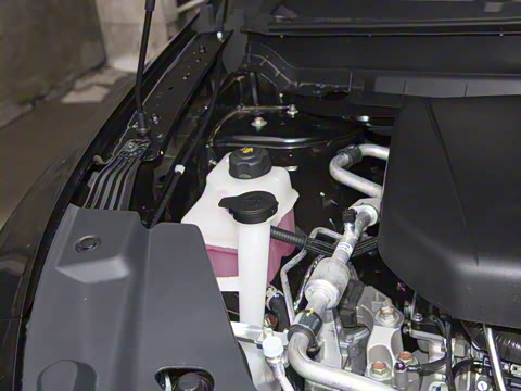 2022�� 260T �����桤����