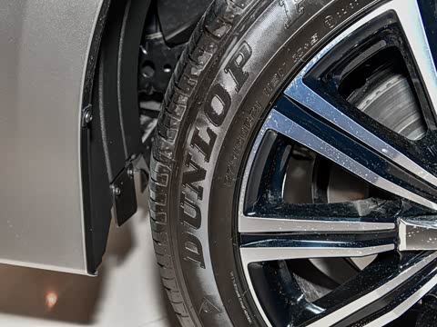 2017�� 570 ��������