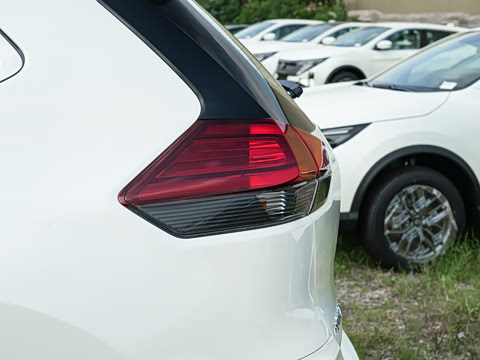 2025�� ���� 2.0L �������İ�