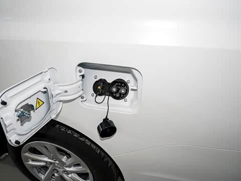 2025�� 365KM ������ 7��