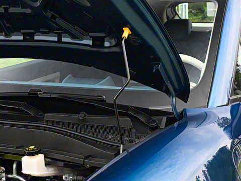 2025�� 430km ������