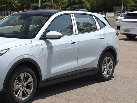 2025�� 445km ���ð�