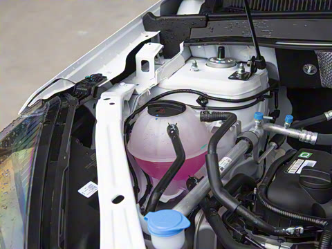 2025�� ׿Խ��  1.5T CVTȫ���