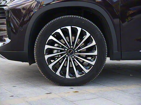 2021�� 290T ���������