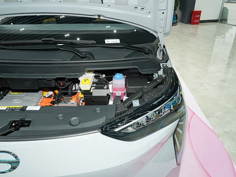 2022�� 70 ����� �������