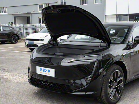 2025�� Max ���������